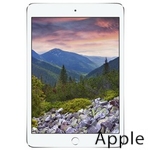 Ремонт Apple iPad mini 3 в Хабаровске