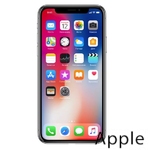 Ремонт iPhone X(10) в Хабаровске